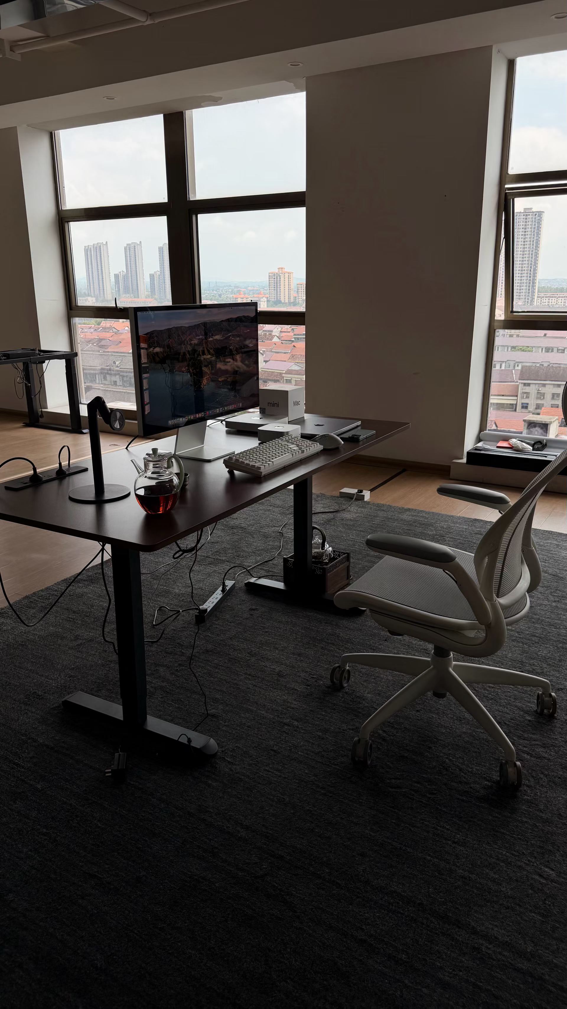 The real WhaleLeap Studio workspace and development setup